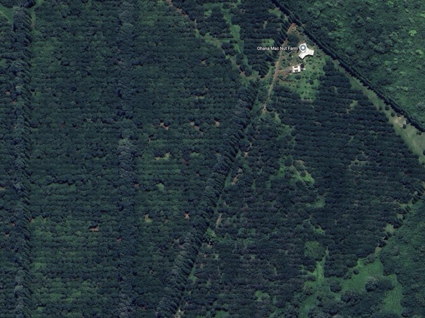 Ohana Mac Nut, LLC, income producing, eco-friendly Macadamia Nut - Beach Commercial for sale in Pahala, Hawaii on Beachhouse.com