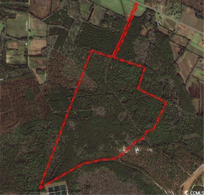 With over 181 acres of gorgeous Pine Savannah habitat - Beach Acreage for sale in North Myrtle Beach, South Carolina on Beachhouse.com