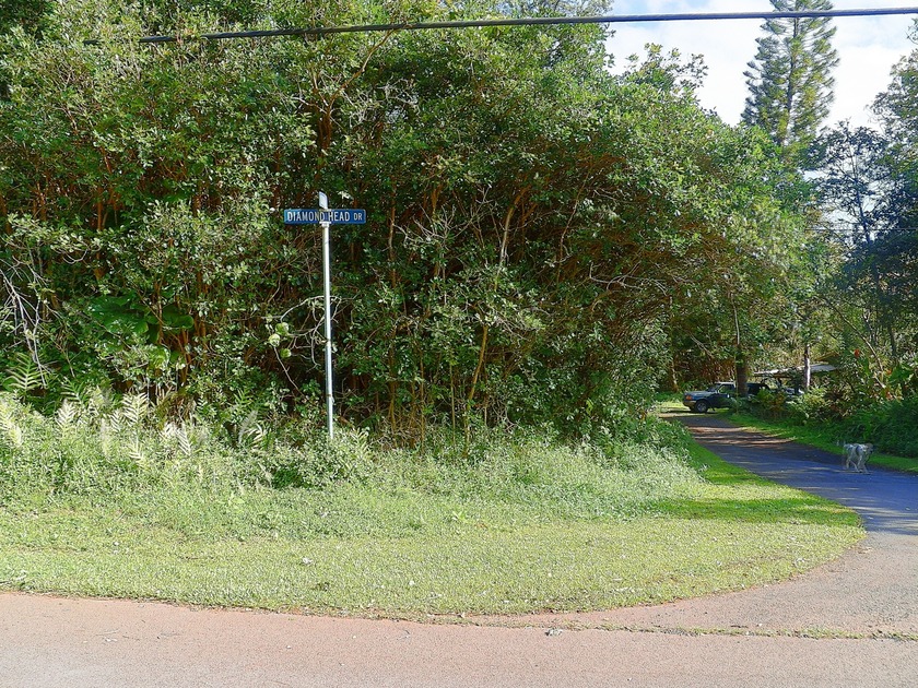 Beautiful and Affordable Corner Lot in the Black Sand Beach - Beach Lot for sale in Pahoa, Hawaii on Beachhouse.com