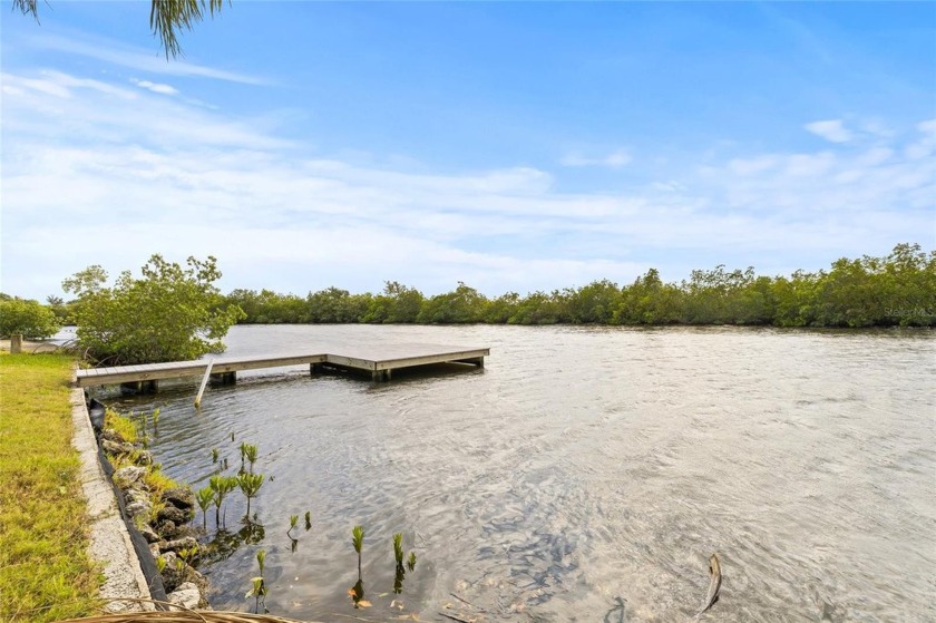 Stunning Canal-Front Home with Direct Access to Tampa Bay and - Beach Home for sale in Tampa, Florida on Beachhouse.com