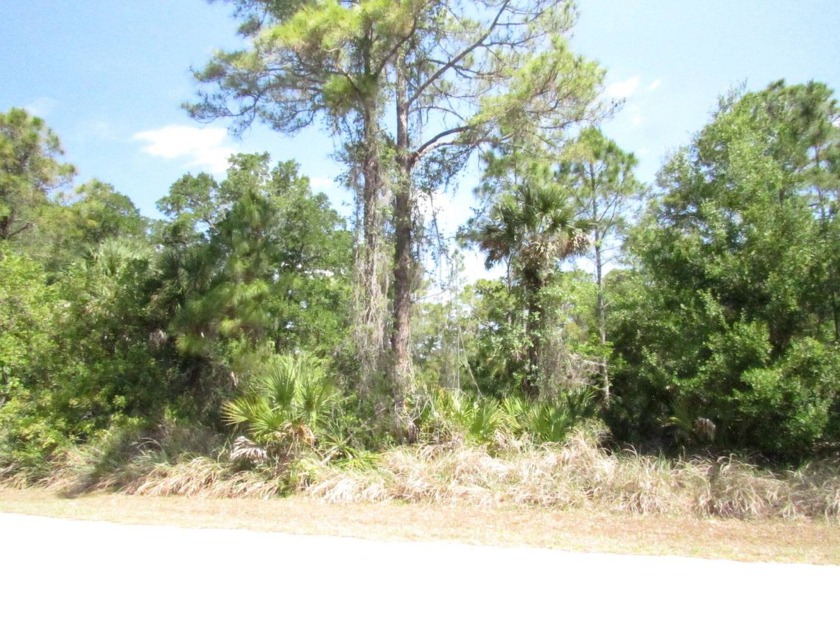 Single-family lot with NO HOA or CCD, ready for your Florida - Beach Lot for sale in Port Charlotte, Florida on Beachhouse.com