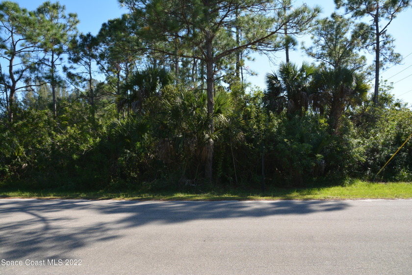 A SMOOTH PAVED ROAD leads directly from Degroodt Road all the - Beach Lot for sale in Palm Bay, Florida on Beachhouse.com
