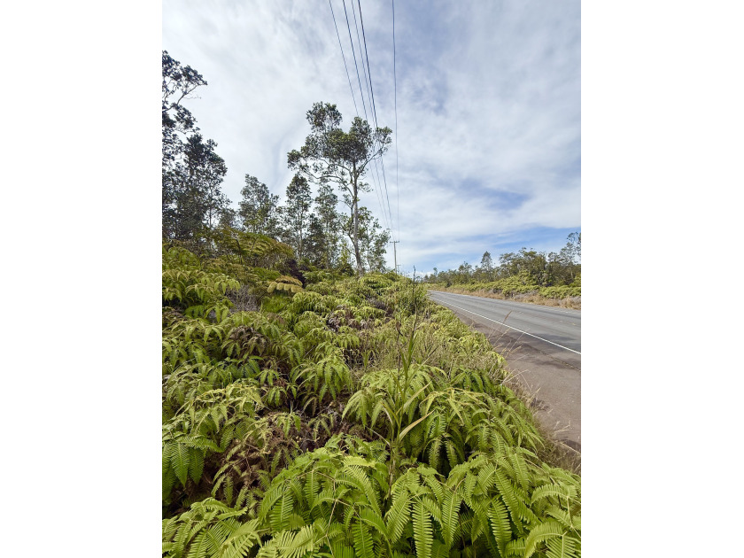 Prime Highway Frontage! This 10,000 Sq ft lot is an elevated lot - Beach Lot for sale in Volcano, Hawaii on Beachhouse.com