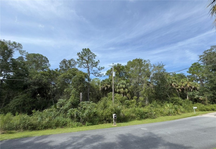 Just Over 1 Acre in Crystal River, FL - Two Parcels, One - Beach Lot for sale in Crystal River, Florida on Beachhouse.com