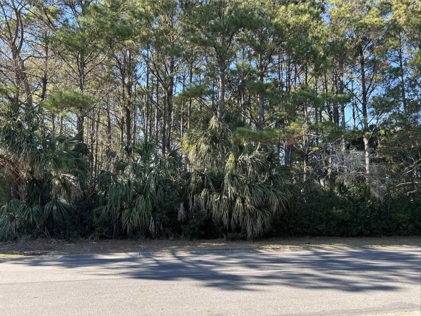 This is a spectacular Marsh view property on one oi the most - Beach Lot for sale in Georgetown, South Carolina on Beachhouse.com