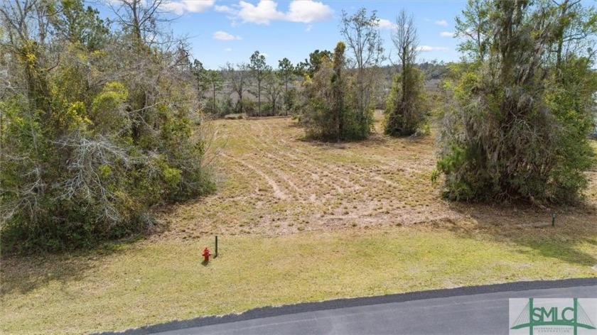 Step into your own peaceful retreat with this 0.98-acre wooded - Beach Lot for sale in Townsend, Georgia on Beachhouse.com
