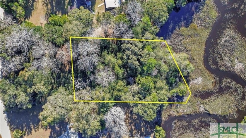 Discover the perfect canvas for your waterfront dream home in - Beach Lot for sale in Darien, Georgia on Beachhouse.com