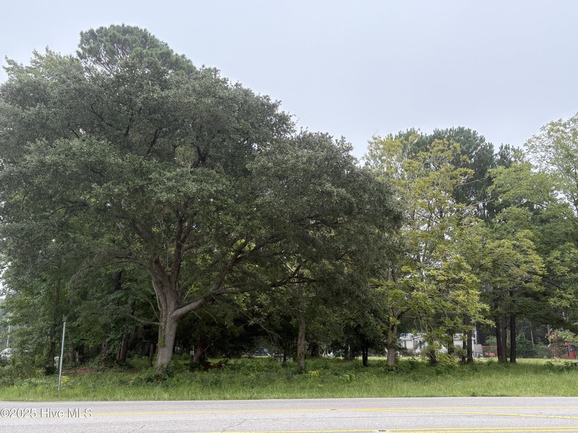 !.09 acres on great corner lot in Shallotte with mixed use - Beach Lot for sale in Shallotte, North Carolina on Beachhouse.com