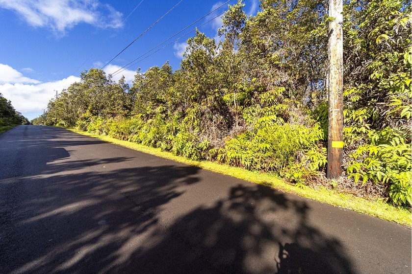 This lush lot with stately ohia trees and native ferns on a - Beach Lot for sale in Volcano, Hawaii on Beachhouse.com