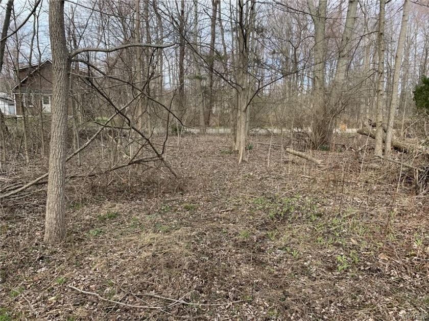 Here is a very nice, flat buildable lot for your new home in the - Beach Lot for sale in Angola, New York on Beachhouse.com