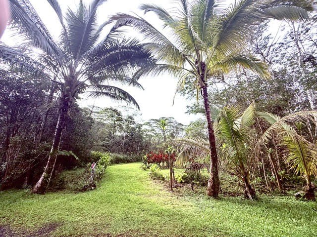 Amazing lot already cleared in the growing subdivision of - Beach Lot for sale in Pahoa, Hawaii on Beachhouse.com