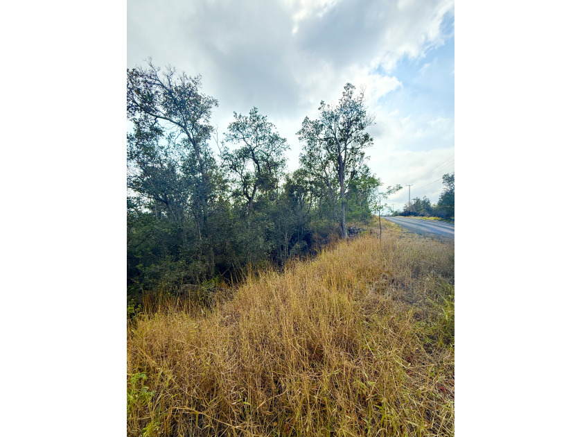 Hawaiian Ocean View Estates..wooded once acre lot With - Beach Lot for sale in Ocean View, Hawaii on Beachhouse.com