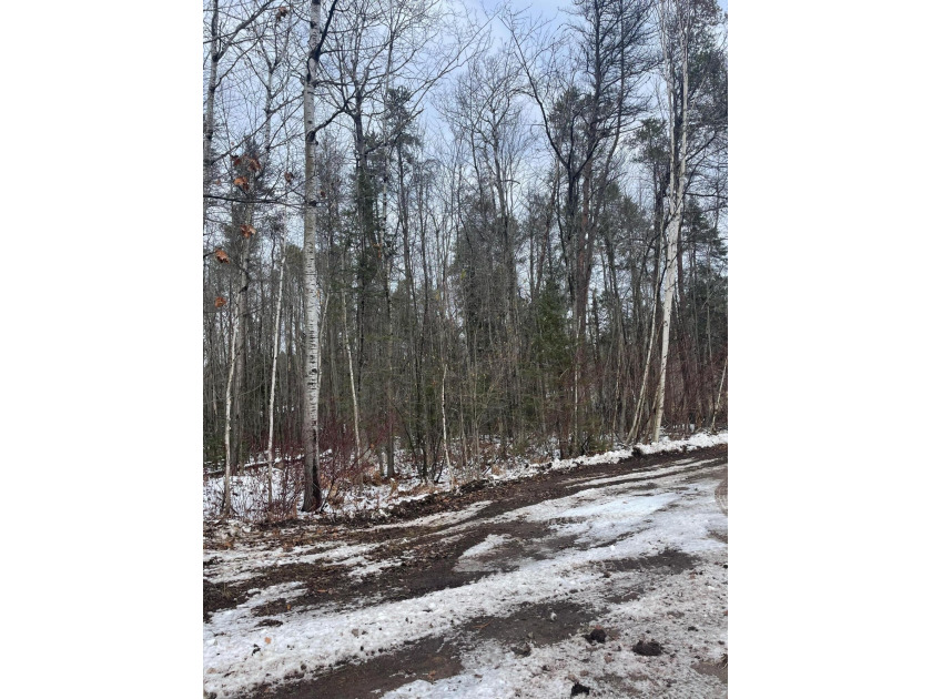 This .67 acre parcel is wooded with the potential to build - Beach Lot for sale in Alpena, Michigan on Beachhouse.com