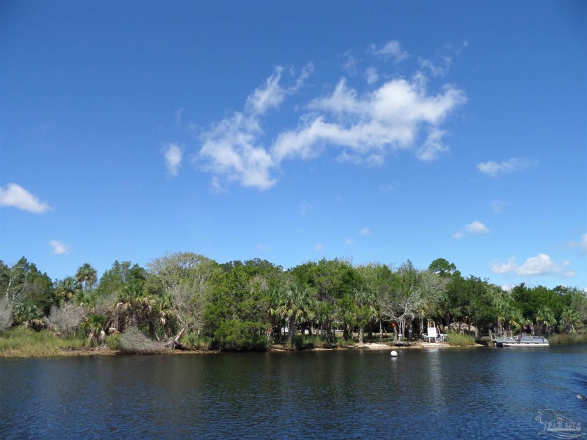 Here is the chance of a lifetime to own a private island and - Beach Home for sale in Suwannee, Florida on Beachhouse.com