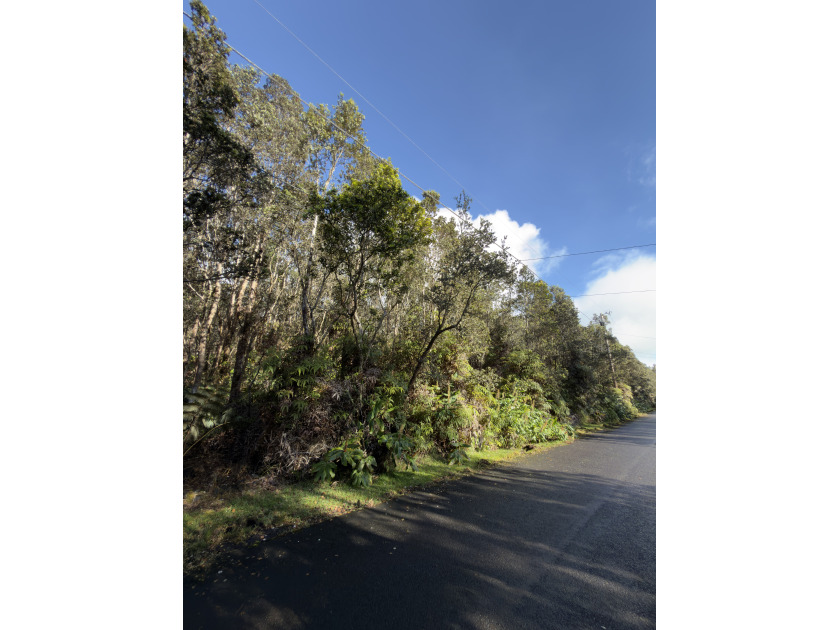 Exceptional opportunity to own vacant land in Mauna Loa Estates! - Beach Lot for sale in Volcano, Hawaii on Beachhouse.com