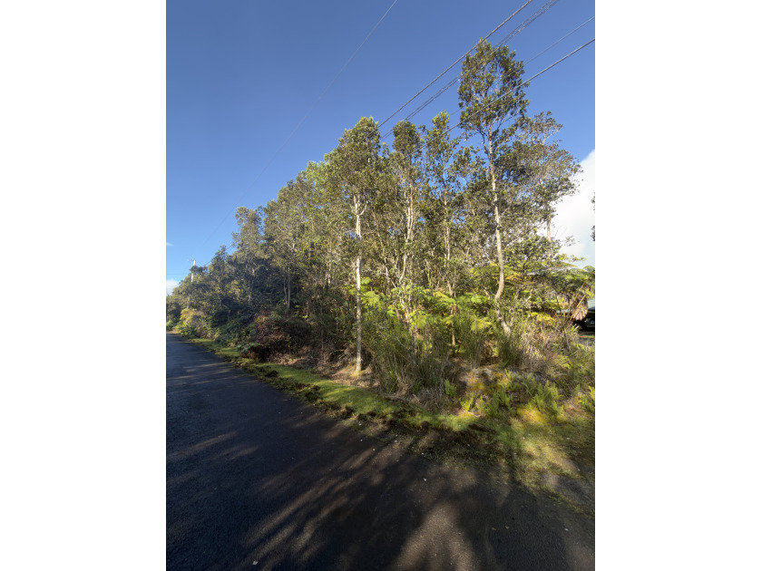 Exceptional opportunity to own vacant land in Mauna Loa Estates! - Beach Lot for sale in Volcano, Hawaii on Beachhouse.com