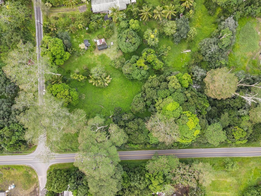Owning vacant land in Hawaiian Paradise Park is about more than - Beach Lot for sale in Keaau, Hawaii on Beachhouse.com