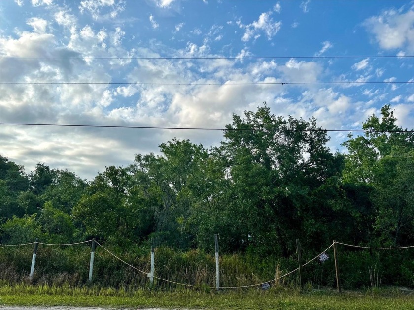 Beautiful homesite is now available in up and coming New Port - Beach Lot for sale in New Port Richey, Florida on Beachhouse.com