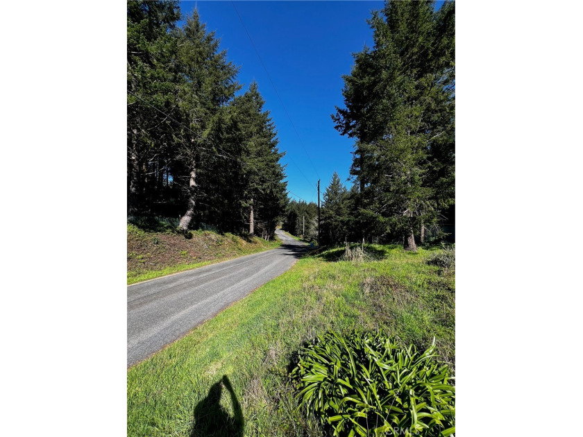 SELLER FINANCING AVAILABLE!!!!

Welcome to 159 Redwood Rd - - Beach Lot for sale in Shelter Cove, California on Beachhouse.com