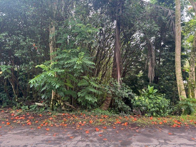 $12,500 Well priced lot on Oceanview Parkway in Black Sands - Beach Lot for sale in Pahoa, Hawaii on Beachhouse.com