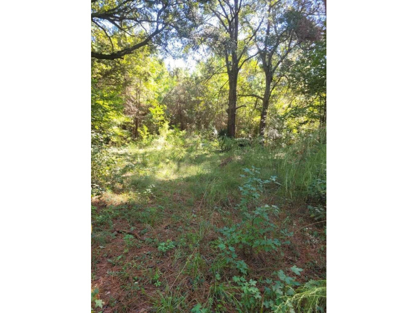 Welcome to your perfect opportunity to build your dream home in - Beach Lot for sale in Edisto Island, South Carolina on Beachhouse.com