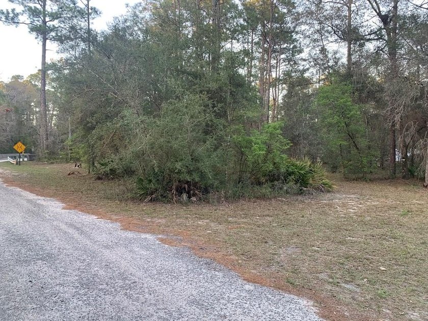 Wakulla County's Best-Kept Secret - Waterfront Lot in Buckhorn - Beach Lot for sale in Sopchoppy, Florida on Beachhouse.com