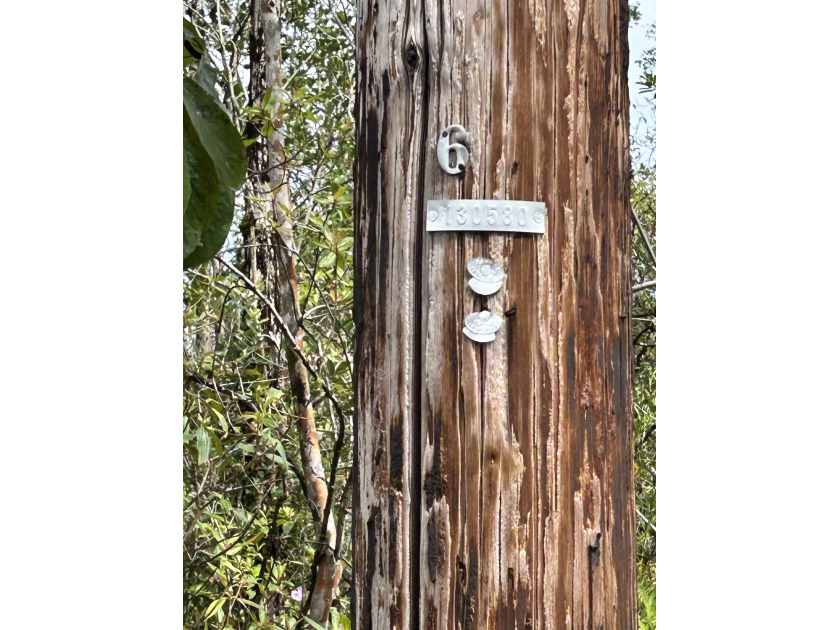 Build your dream home in a location that truly has it all. This - Beach Lot for sale in Kurtistown, Hawaii on Beachhouse.com