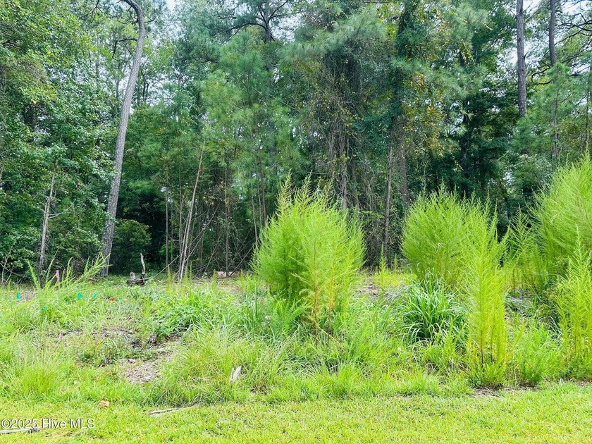 Homesites for sale in Ocean Isle Palms are a rare find, and with - Beach Lot for sale in Shallotte, North Carolina on Beachhouse.com