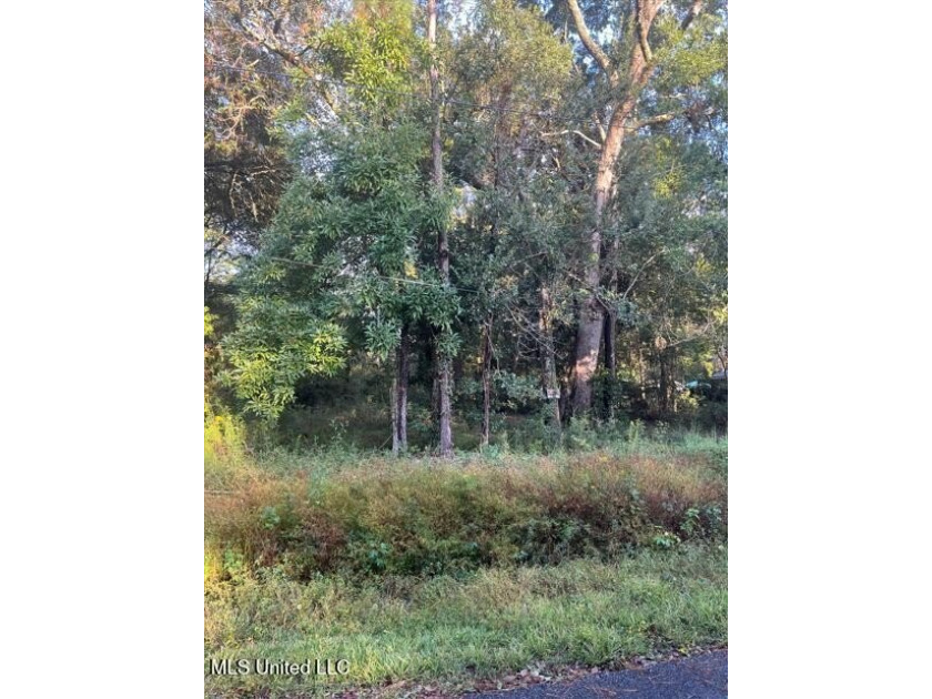 Take advantage of this fantastic opportunity to own two - Beach Lot for sale in Ocean Springs, Mississippi on Beachhouse.com