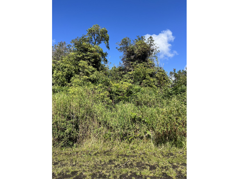 Discover your opportunity to own a lush vacant lot located in - Beach Lot for sale in Mountain View, Hawaii on Beachhouse.com