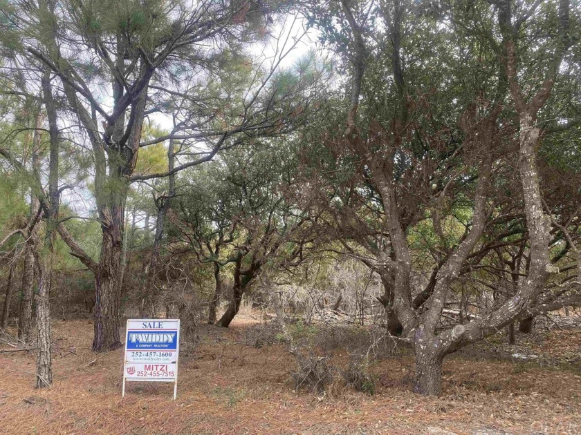 The pristine beauty and peace of the Outer Banks could not be - Beach Lot for sale in Corolla, North Carolina on Beachhouse.com