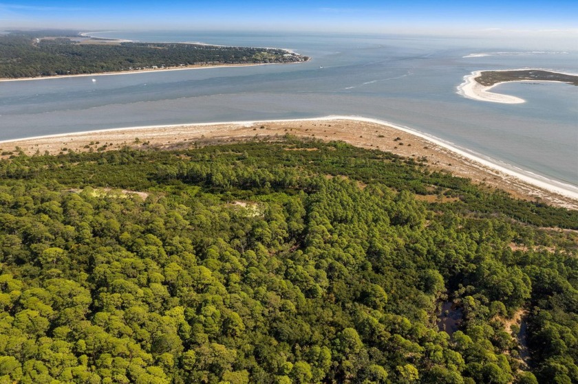 Own and build on a one-acre beachfront homesite on an 80-acre - Beach Lot for sale in Edisto Island, South Carolina on Beachhouse.com