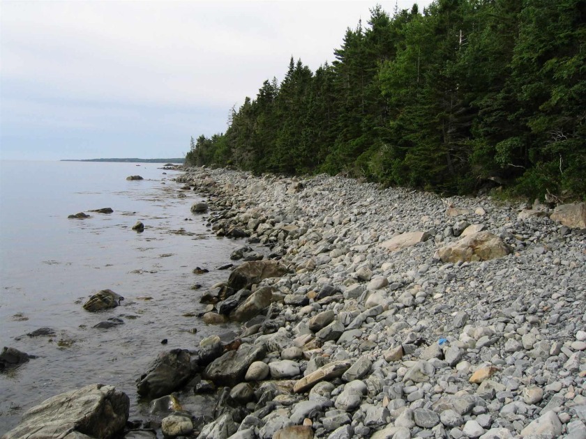 PRIVATE AND TRANQUIL! Just under 5 acres of undeveloped land - Beach Lot for sale in Jordan Branch, Nova Scotia on Beachhouse.com