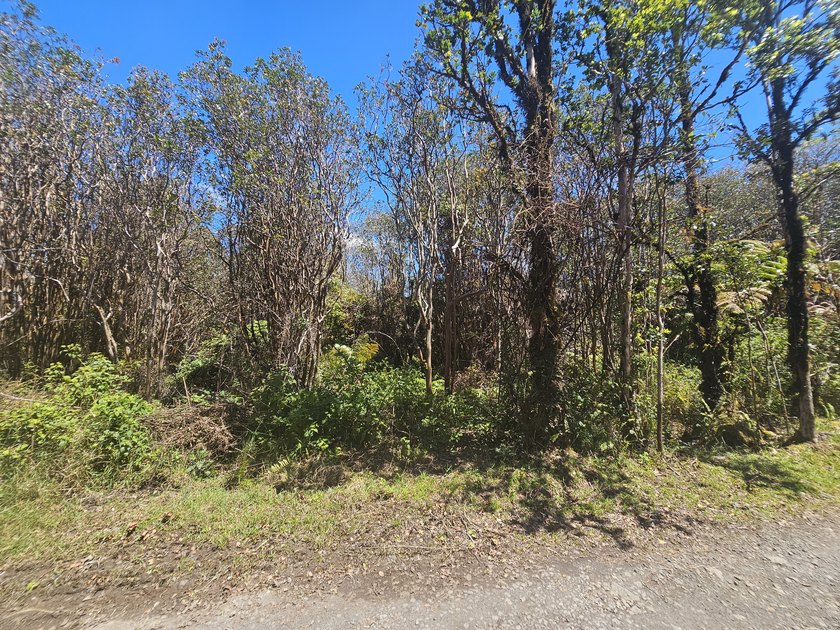 Discover your slice of paradise in Aloha Estates on the Big - Beach Lot for sale in Mountain View, Hawaii on Beachhouse.com