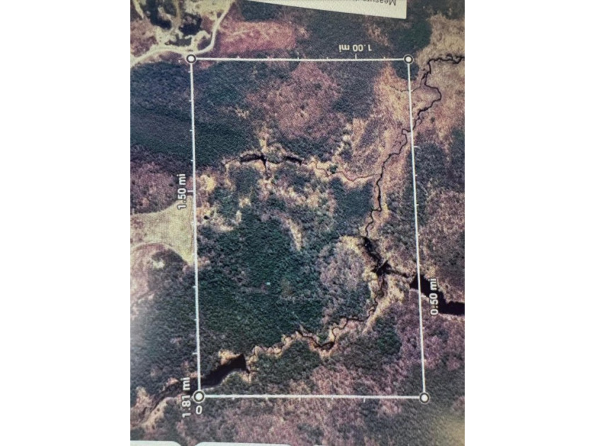 This land has great hunting and fishing! Perfect camp site with - Beach Acreage for sale in Addison, Maine on Beachhouse.com