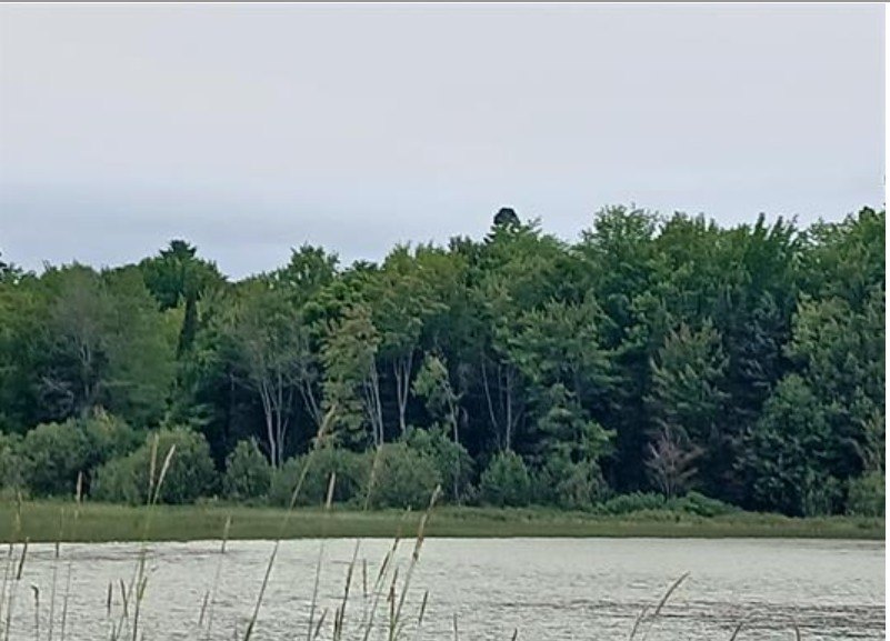 MICHIGAN 2-ACRE PRIVATE LAKE WATER FRONT PROPERTY FOR SALE! This - Beach Acreage for sale in Lake Linden, Michigan on Beachhouse.com