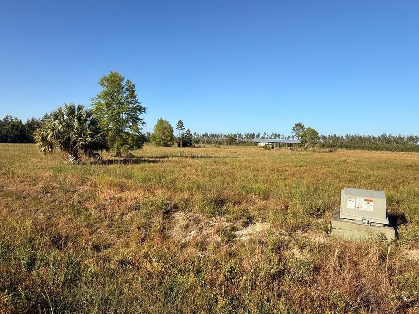 Build your coastal escape or full-time retreat on this cleared 0 - Beach Lot for sale in Wewahitchka, Florida on Beachhouse.com
