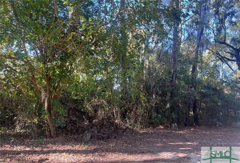 **Just Reduced**Looking for a Buildable lot in Thunderbolt, Look - Beach Lot for sale in Savannah, Georgia on Beachhouse.com