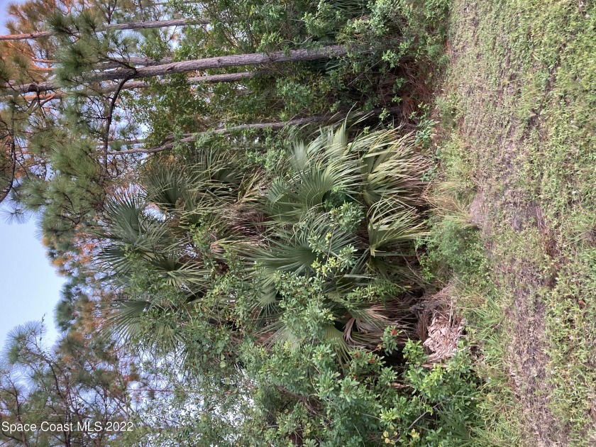 IN A DESIRABLE AREA OF NEWER PAVED ROADS, THIS LOT IS A KEEPER! - Beach Lot for sale in Palm Bay, Florida on Beachhouse.com