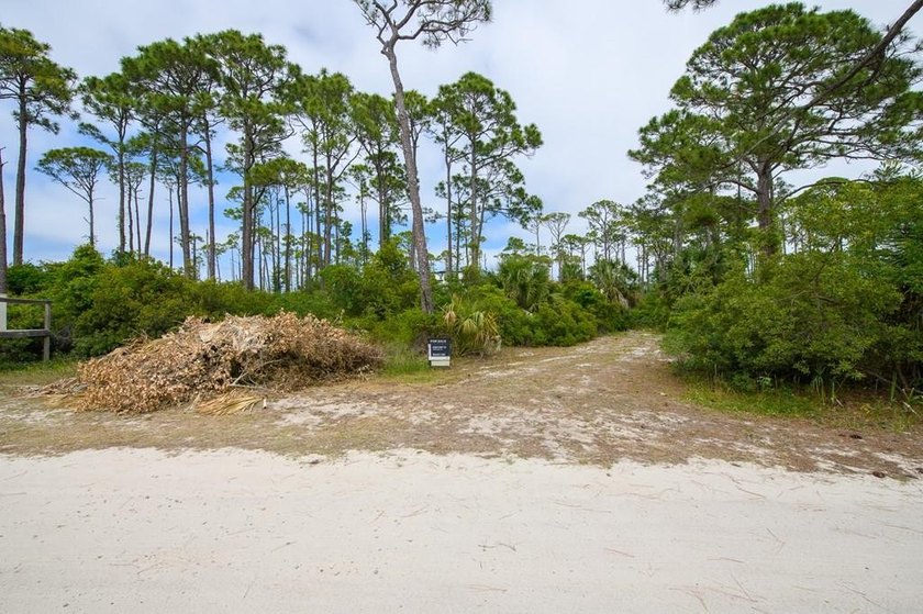 Discover a rare opportunity to own a hidden coastal gem on the - Beach Lot for sale in St. George Island, Florida on Beachhouse.com