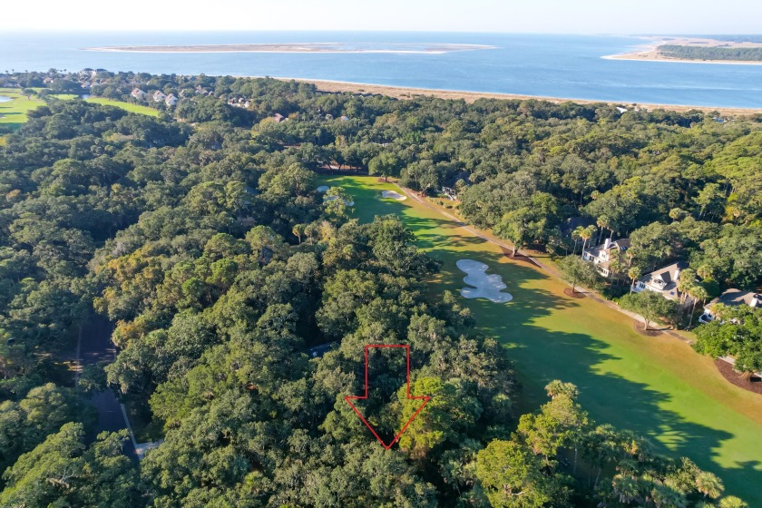 This gorgeous wooded homesite is on #17 of Crooked Oaks Golf - Beach Lot for sale in Seabrook Island, South Carolina on Beachhouse.com