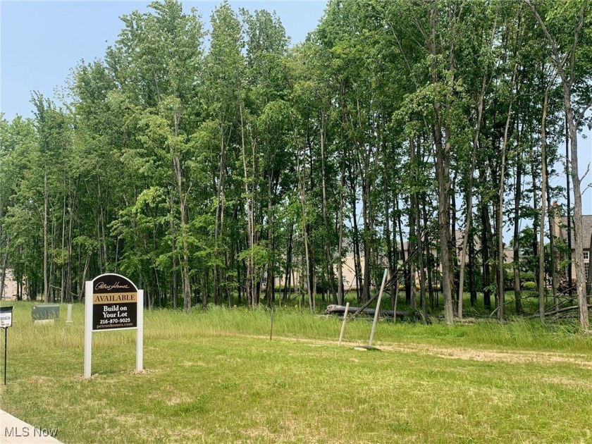 Lot 171 is a beautiful, almost 1/2 acre homesite available for - Beach Lot for sale in Westlake, Ohio on Beachhouse.com