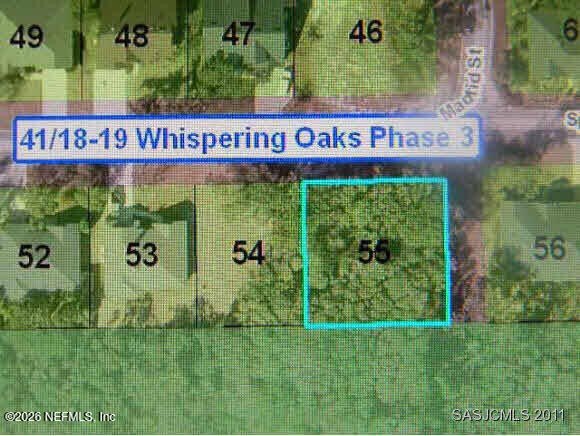 Rare 100 X 100 lot with additional greenspace along side & back - Beach Lot for sale in St. Augustine Beach, Florida on Beachhouse.com