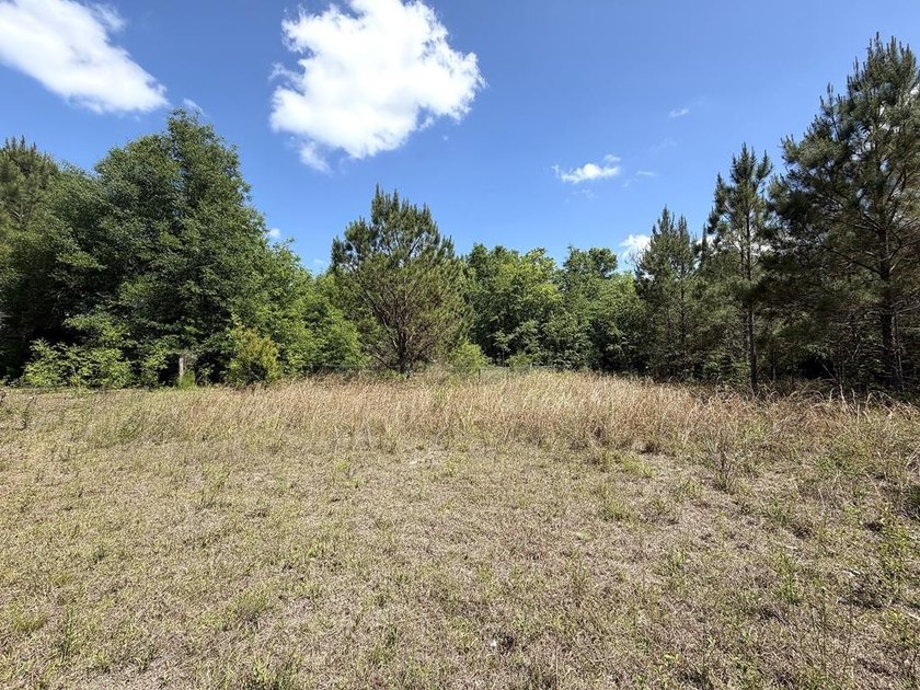 5-acre property located at 5581 Hwy 71 S in Wewahitchka, Florida - Beach Acreage for sale in Wewahitchka, Florida on Beachhouse.com