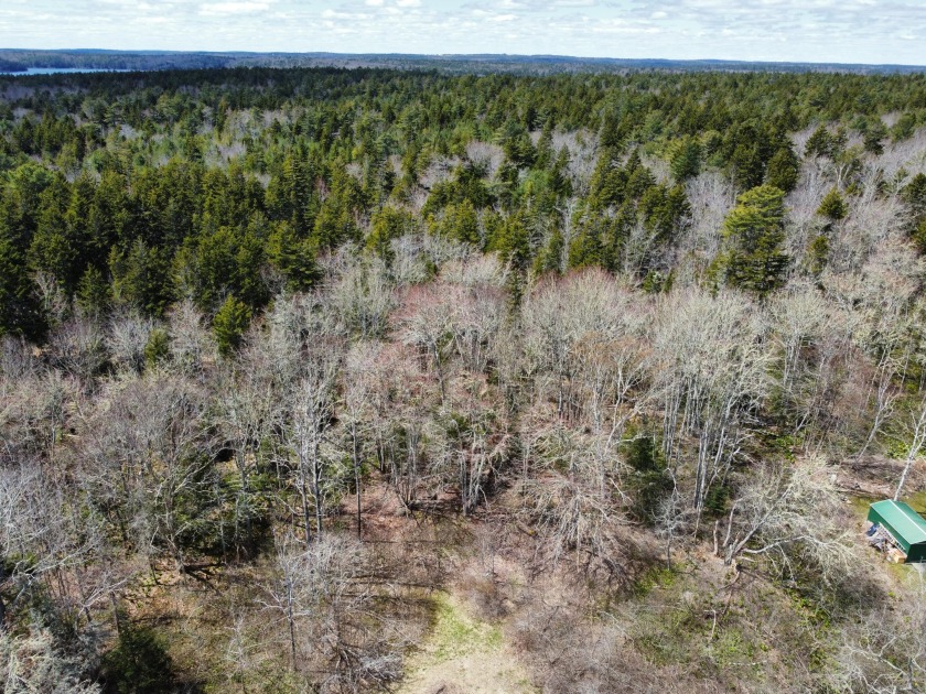3.3 acre lot close to Pemaquid Harbor. Build your summer or year - Beach Acreage for sale in Bristol, Maine on Beachhouse.com
