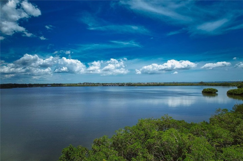 Welcome to Old Florida! Imagine building your Custom Coastal - Beach Lot for sale in Terra Ceia, Florida on Beachhouse.com