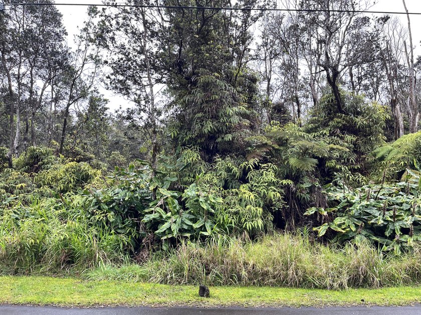 Ohia Estates Beautiful wooded front parcel #22 and flag lot - Beach Lot for sale in Volcano, Hawaii on Beachhouse.com