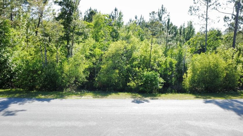 Escape to the laid-back charm of Howard Creek with this spacious - Beach Lot for sale in Wewahitchka, Florida on Beachhouse.com