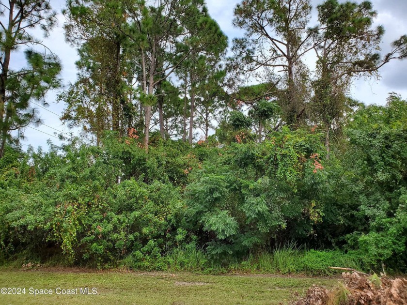 LOCATION!! Oversized residential corner lot, great neighborhood - Beach Lot for sale in Palm Bay, Florida on Beachhouse.com