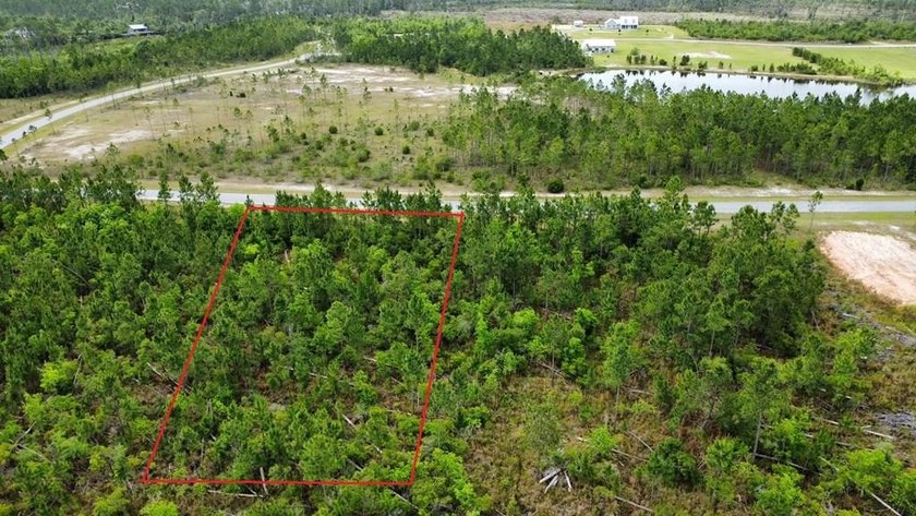 Exquite opportuity for an X flood zone (not a flood zone) acre - Beach Lot for sale in Wewahitchka, Florida on Beachhouse.com